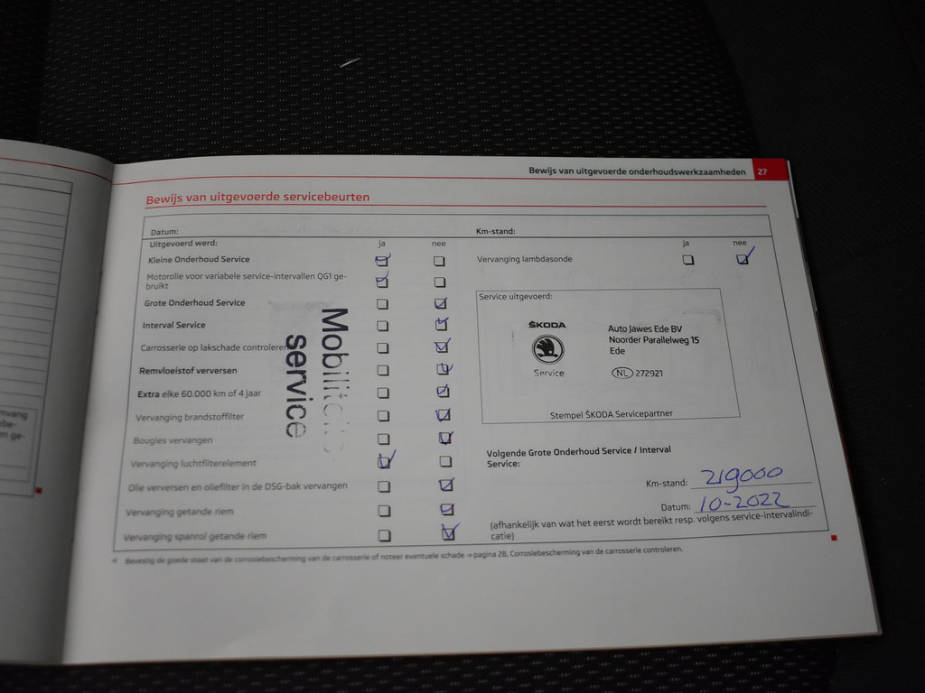 32651093-9.jpg