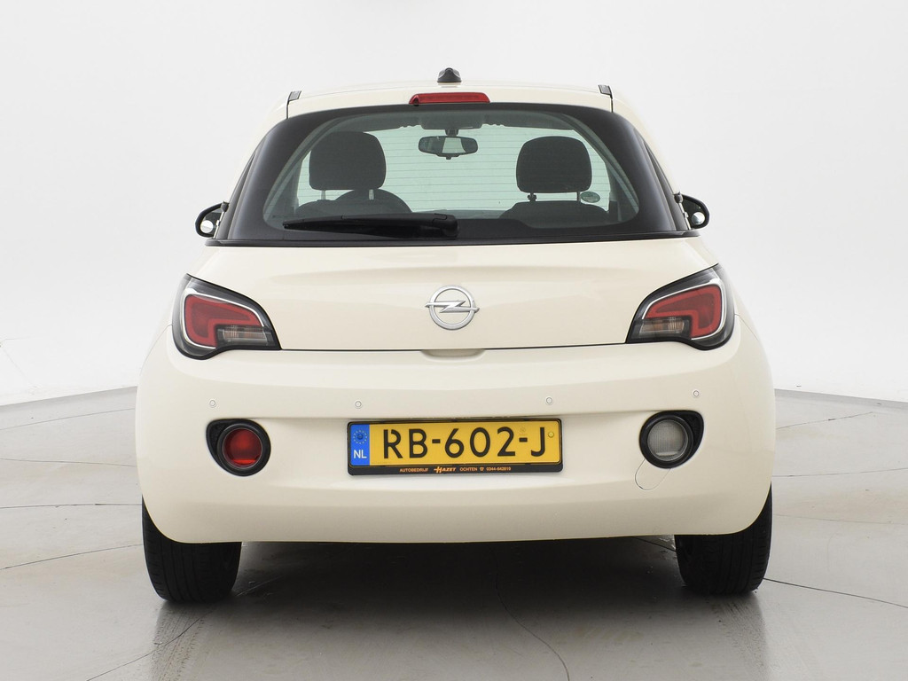 41058557-10.jpg