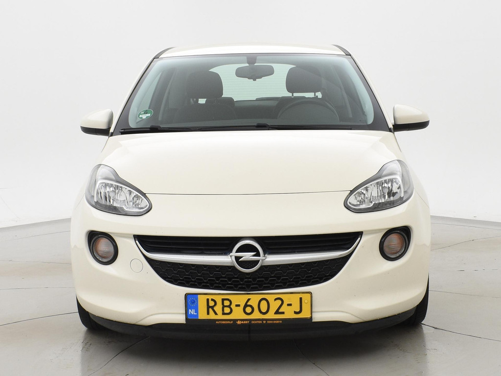 41058557-9.jpg