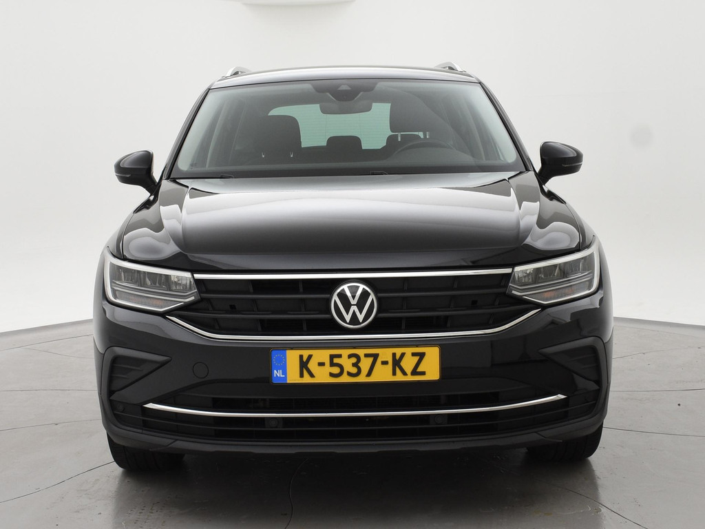 48261860-5.jpg