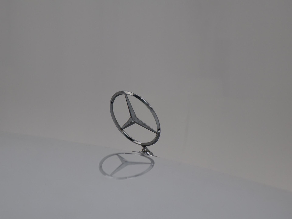 48678068-18.jpg