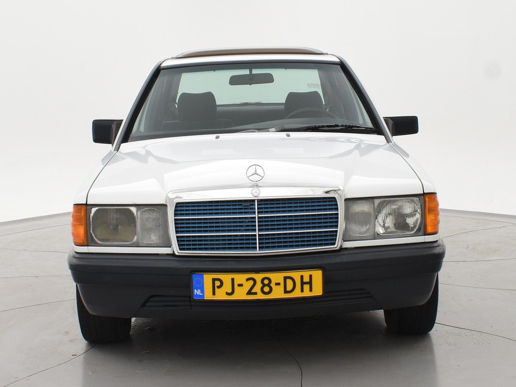 48678068-8.jpg